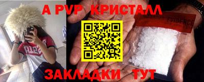 гидра Рязань