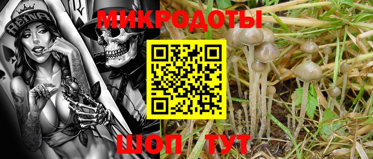 Галлюциногенные грибы Magic Shrooms  Галлюциногенные грибы мухоморы  Вход с VPN  Подольск 